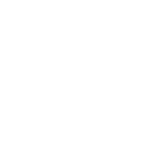 ASSE
